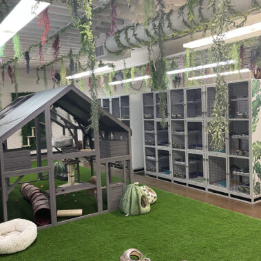 Pet Sitting Indoor Location Pic 2 Pasadena CA