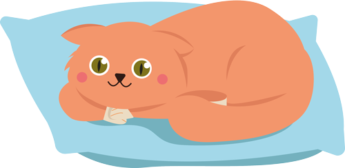 Orange cat icon.